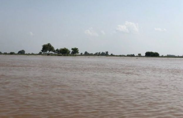 دریائے ستلج میں بہاولپور، بہاولنگر کے مقام پر پانی کی سطح میں مسلسل اضافہ جاری، فصلیں زیرآب