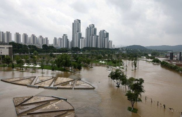 جنوبی کوریا: سیلاب اور لینڈ سلائیڈنگ کے نتیجے میں 39 افراد ہلاک