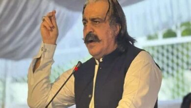 آئینی ترامیم جمہوریت پر حملہ ہے اور ہم اس کو کامیاب نہیں ہونے دیں گے: علی امین کی آئینی ترامیم کی کھل کر مخالفت